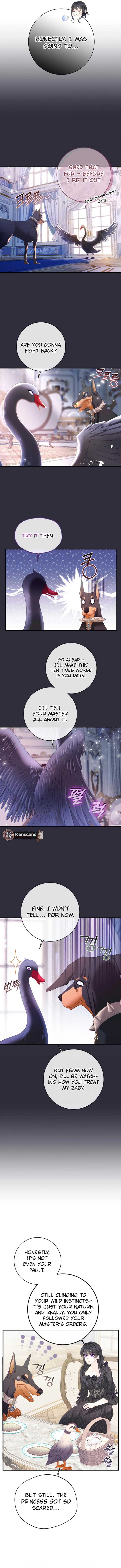 I Became The Black Swan Mother of The White Swan Princess Chapter 32 49 2