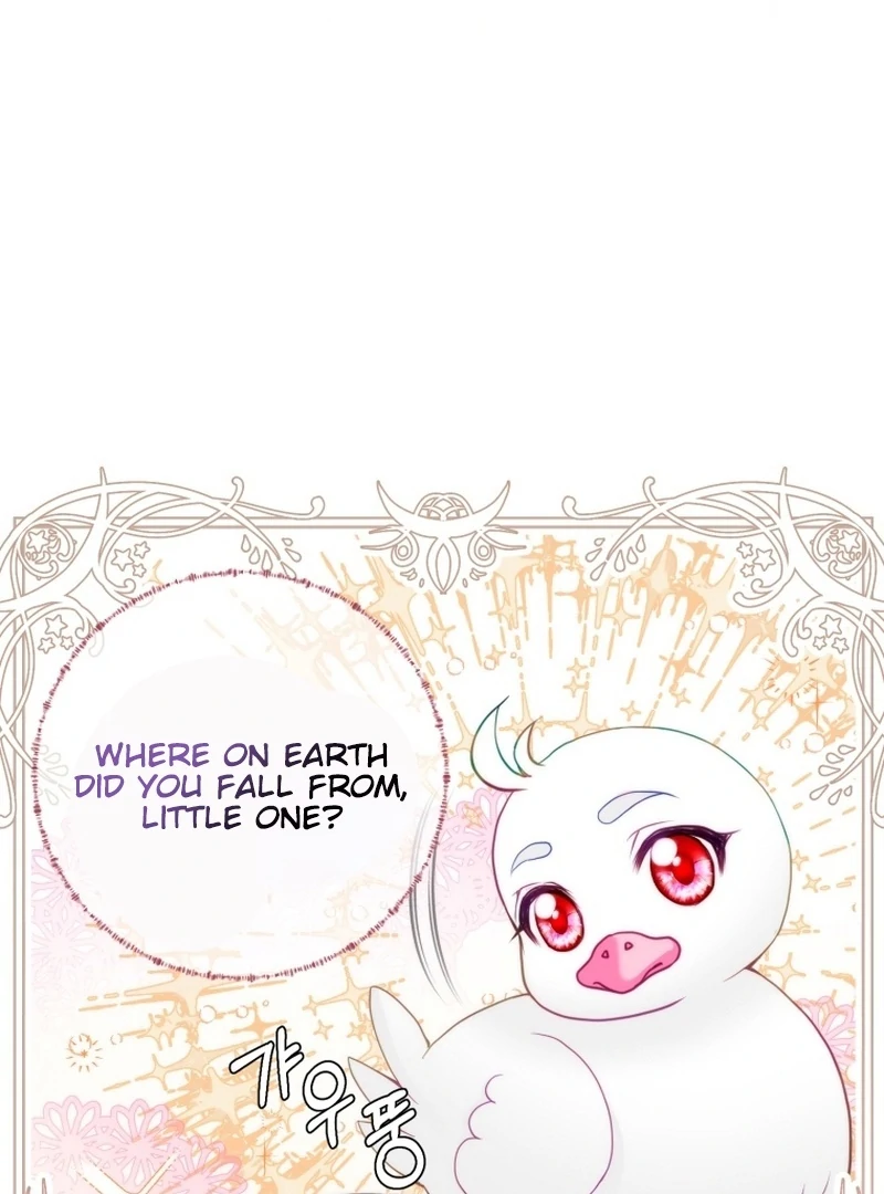 I Became The Black Swan Mother of The White Swan Princess Chapter 4 434 ch 4 19
