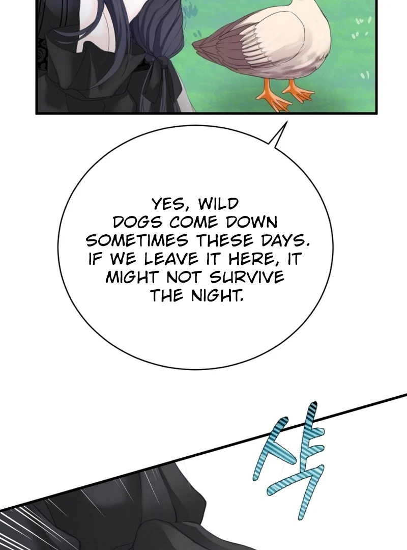 I Became The Black Swan Mother of The White Swan Princess Chapter 4 442 ch 4 27