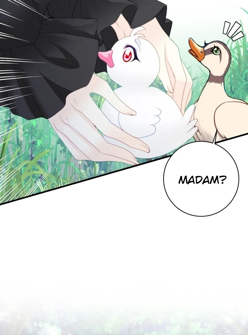 I Became The Black Swan Mother of The White Swan Princess Chapter 4 443 ch 4 28