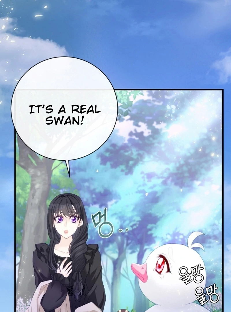I Became The Black Swan Mother of The White Swan Princess Chapter 4 418 ch 4 3