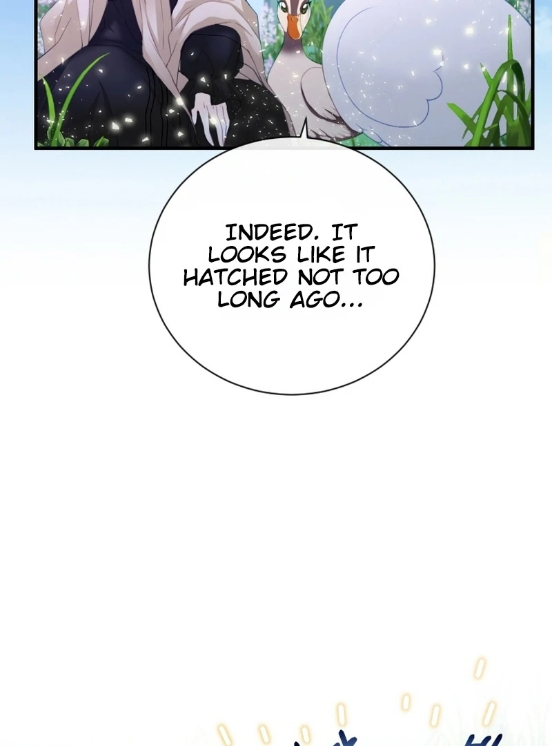 I Became The Black Swan Mother of The White Swan Princess Chapter 4 419 ch 4 4