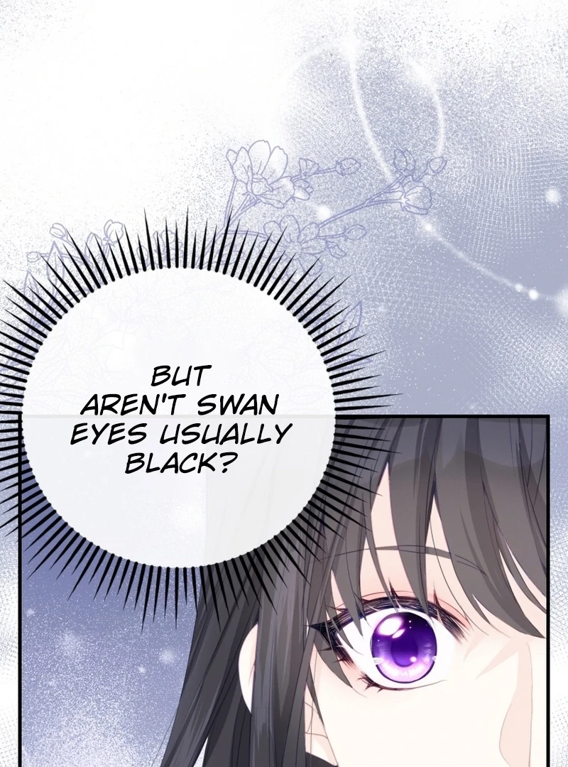 I Became The Black Swan Mother of The White Swan Princess Chapter 4 461 ch 4 46