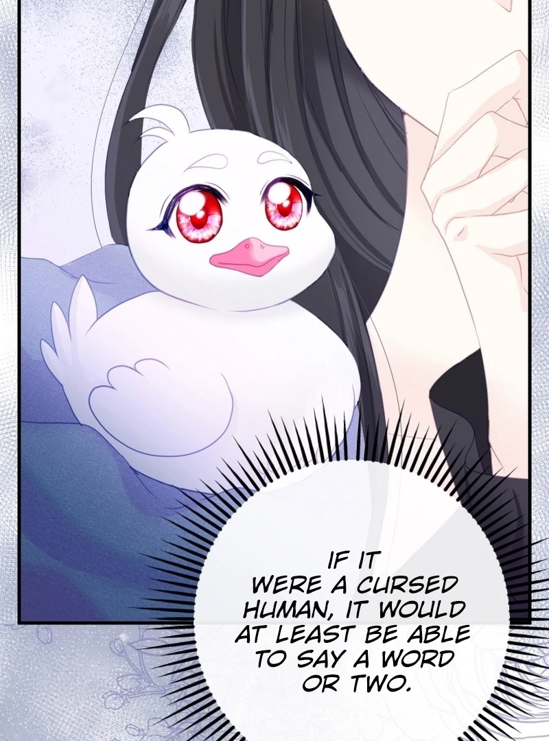 I Became The Black Swan Mother of The White Swan Princess Chapter 4 462 ch 4 47