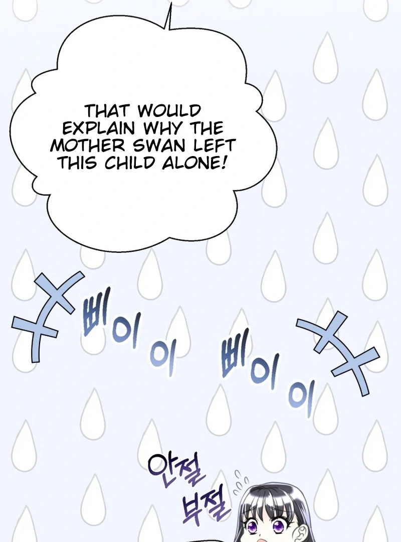 I Became The Black Swan Mother of The White Swan Princess Chapter 4 466 ch 4 51