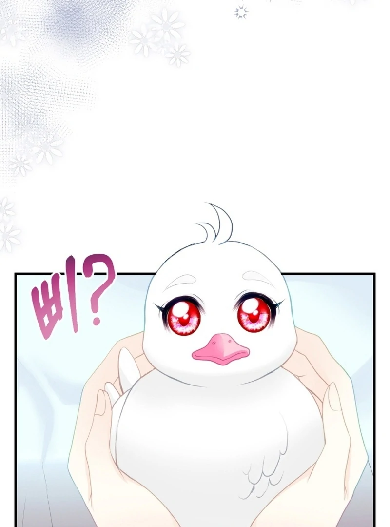 I Became The Black Swan Mother of The White Swan Princess Chapter 4 472 ch 4 57
