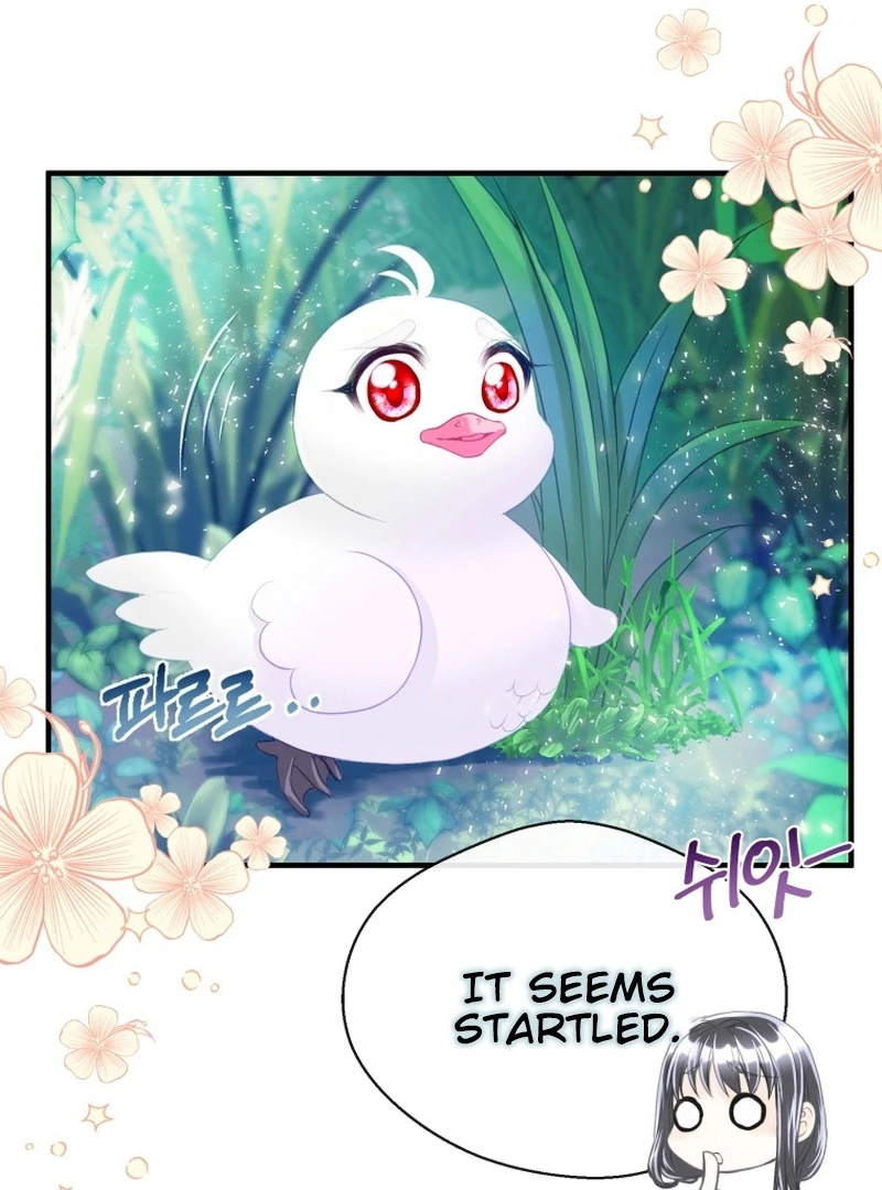 I Became The Black Swan Mother of The White Swan Princess Chapter 4 422 ch 4 7