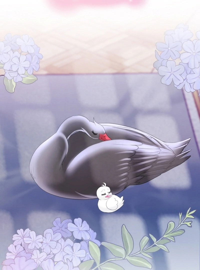 I Became The Black Swan Mother of The White Swan Princess Chapter 4 487 ch 4 72