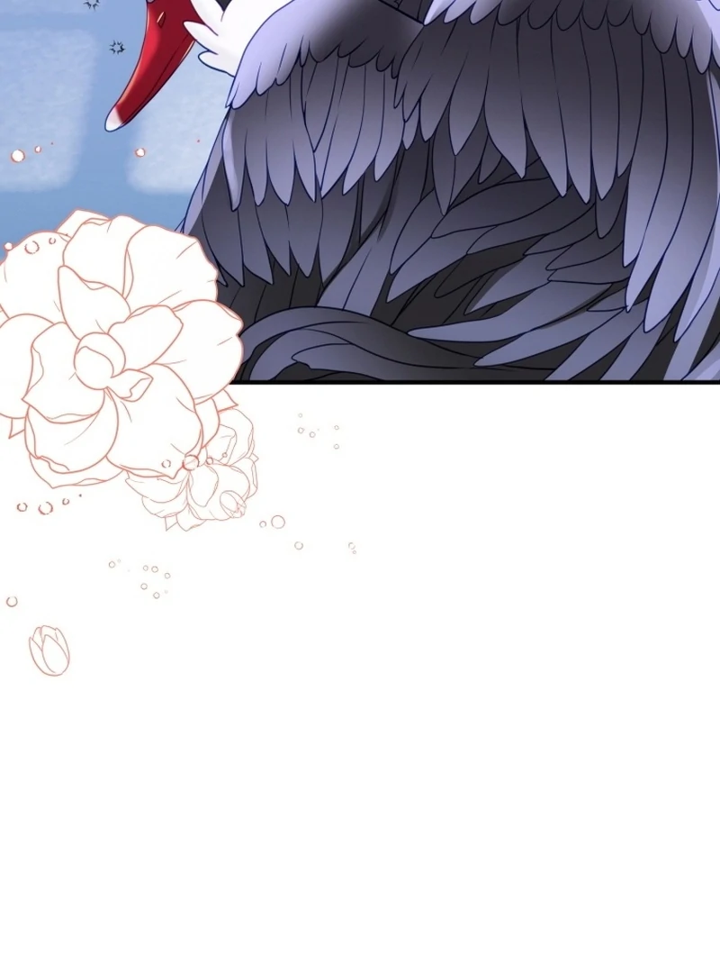 I Became The Black Swan Mother of The White Swan Princess Chapter 4 490 ch 4 75