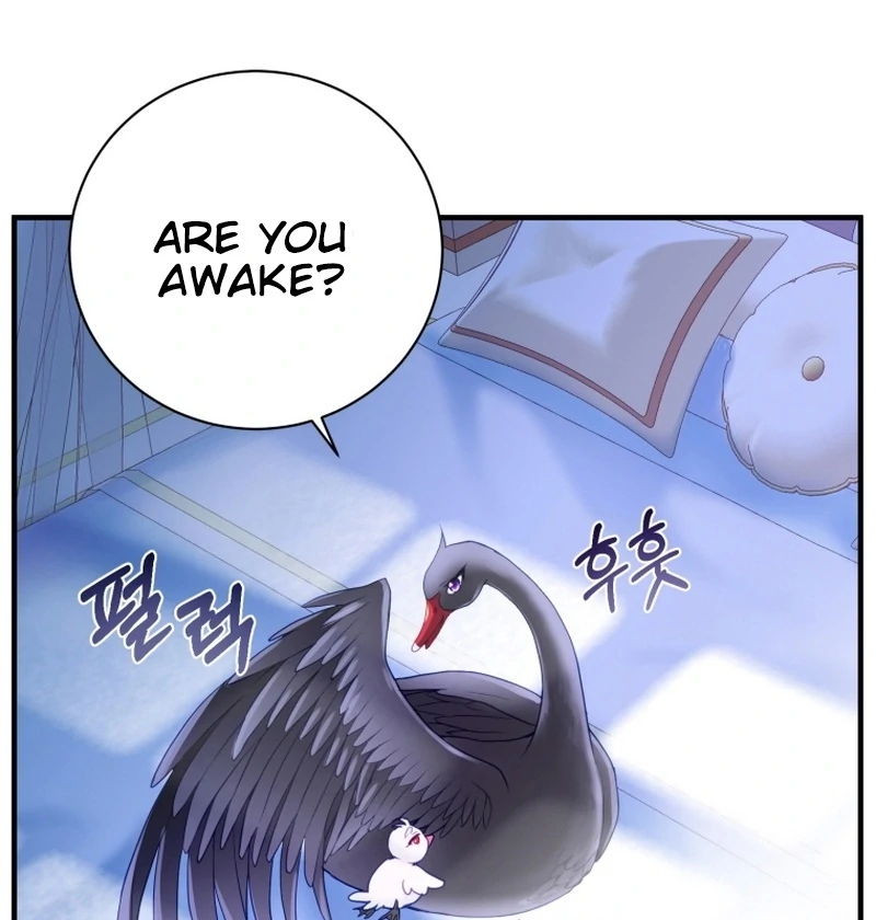 I Became The Black Swan Mother of The White Swan Princess Chapter 4 491 ch 4 76