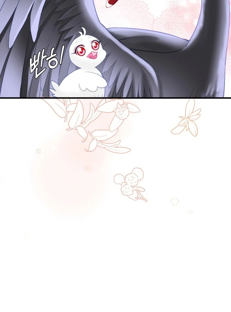 I Became The Black Swan Mother of The White Swan Princess Chapter 4 494 ch 4 79