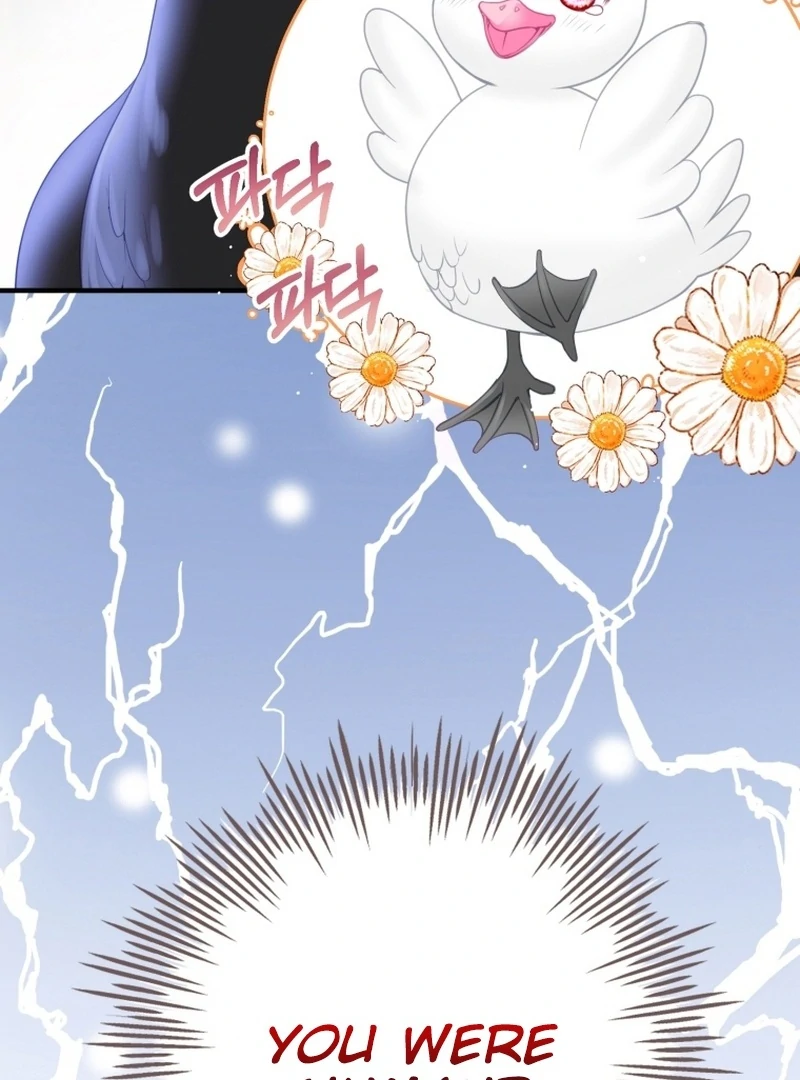 I Became The Black Swan Mother of The White Swan Princess Chapter 4 500 ch 4 85