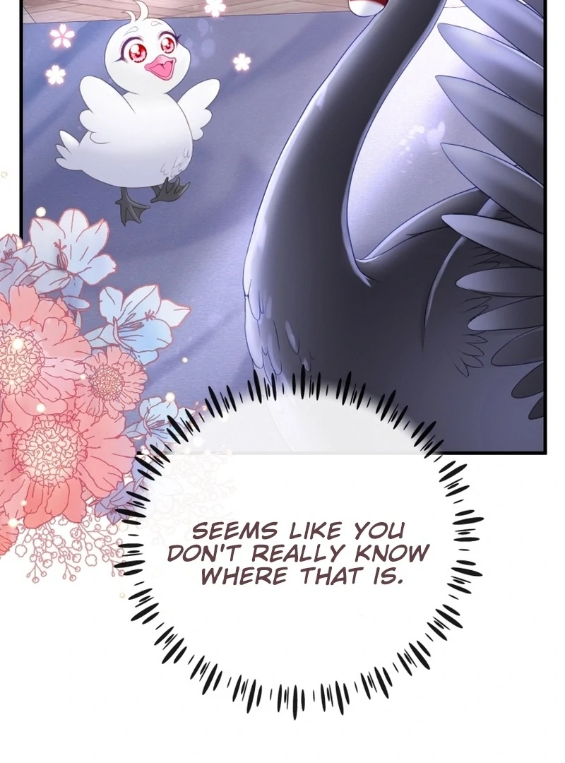 ch 5 26