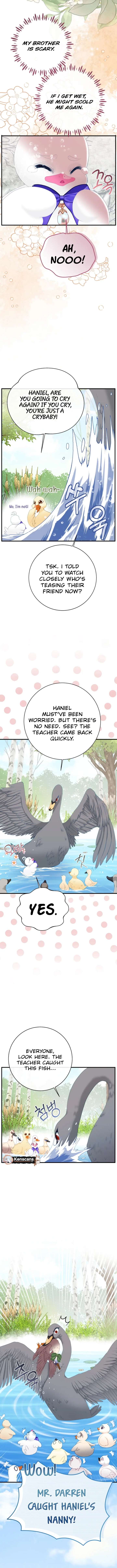 I Became The Black Swan Mother of The White Swan Princess Chapter 50 58 06
