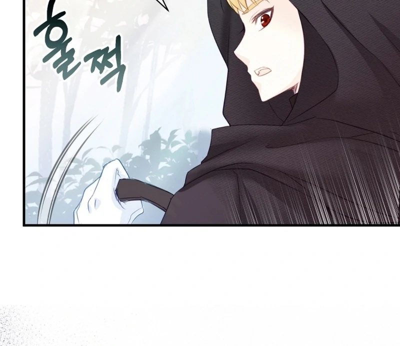 I Became The Black Swan Mother of The White Swan Princess Chapter 8 399 ch 8 17
