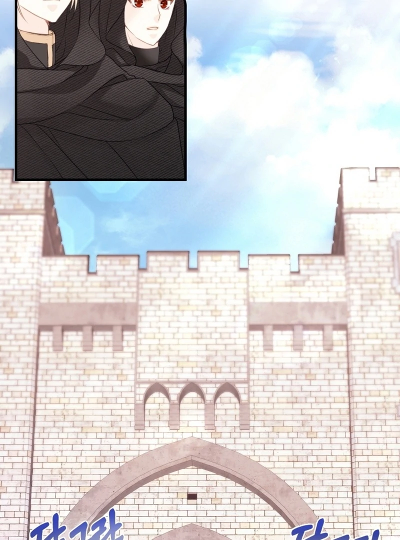 I Became The Black Swan Mother of The White Swan Princess Chapter 8 415 ch 8 33