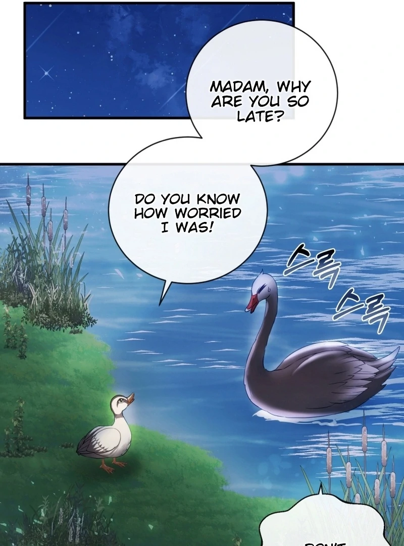 I Became The Black Swan Mother of The White Swan Princess Chapter 9 411 ch 9 71