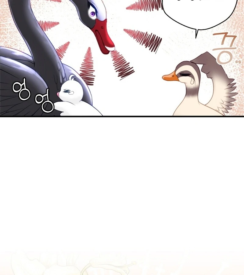 I Became The Black Swan Mother of The White Swan Princess Chapter 9 421 ch 9 81