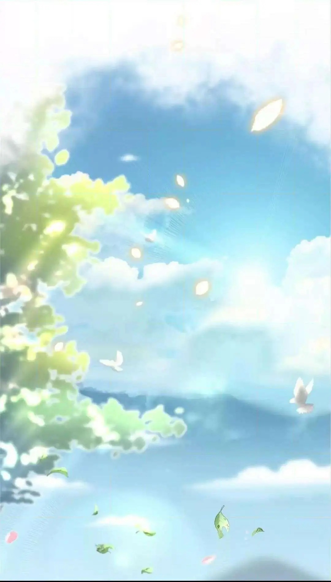 003