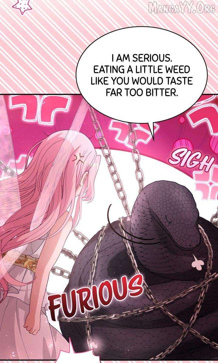 ch 40 41