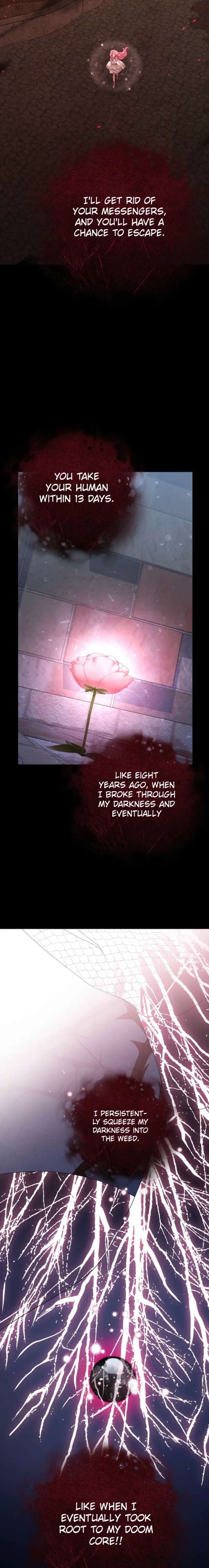ch 65 26