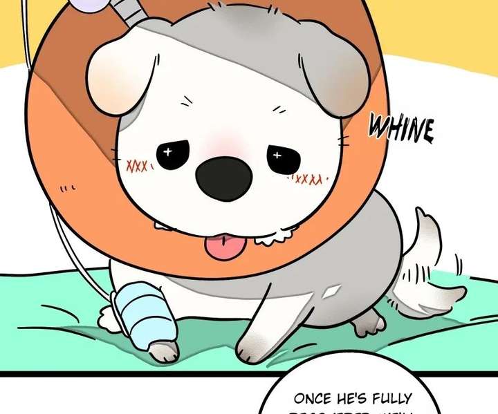 ch 70 2