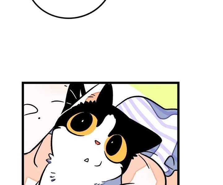 ch 71 34