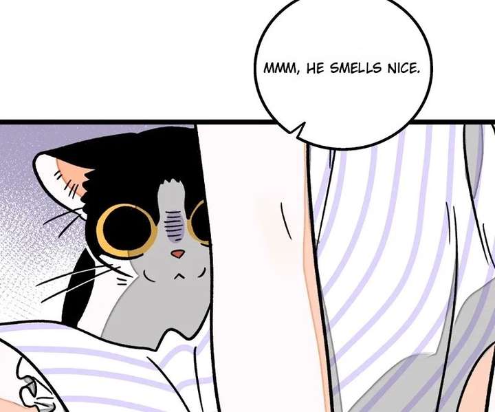 ch 71 52