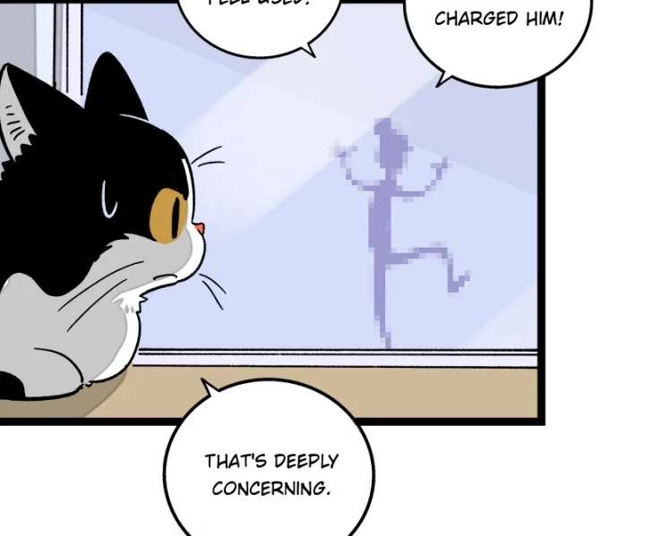 ch 73 20