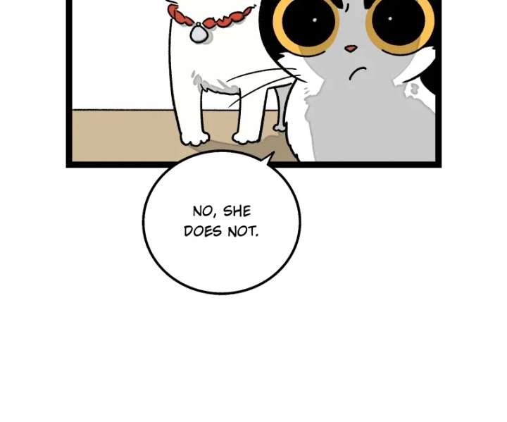 ch 73 22