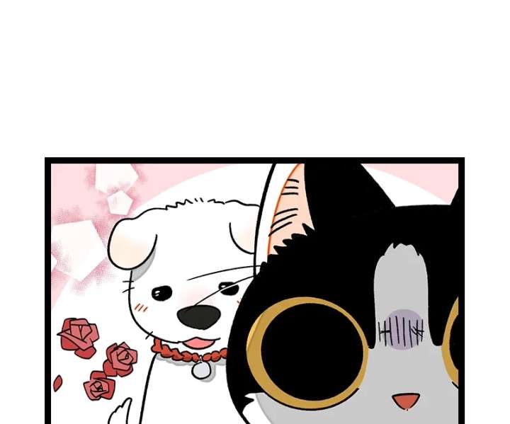 ch 73 23