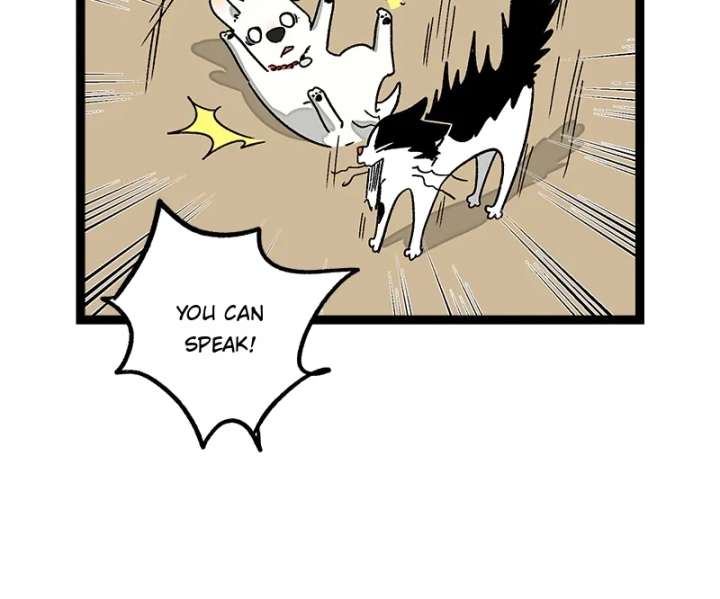 ch 73 25
