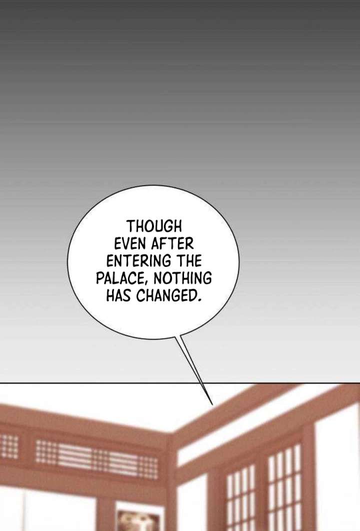 ch 24 16