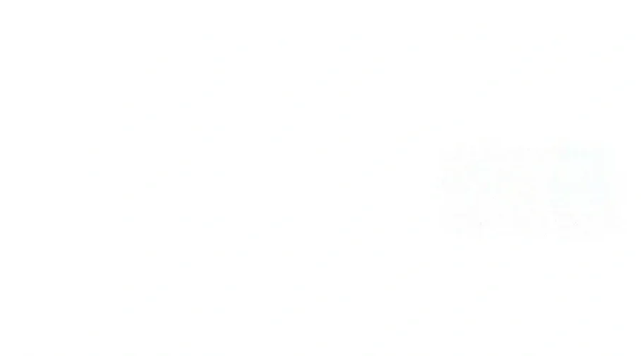 a446f1fd6e04