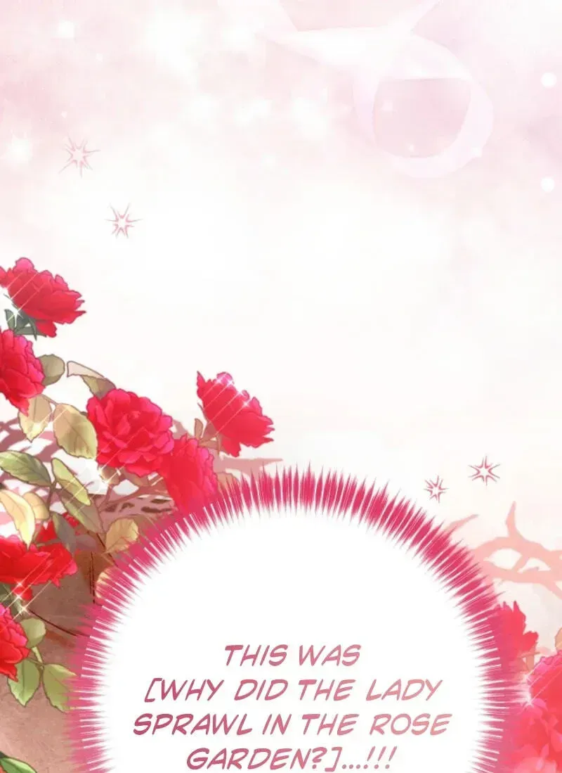 480ac29a568b 101 webp