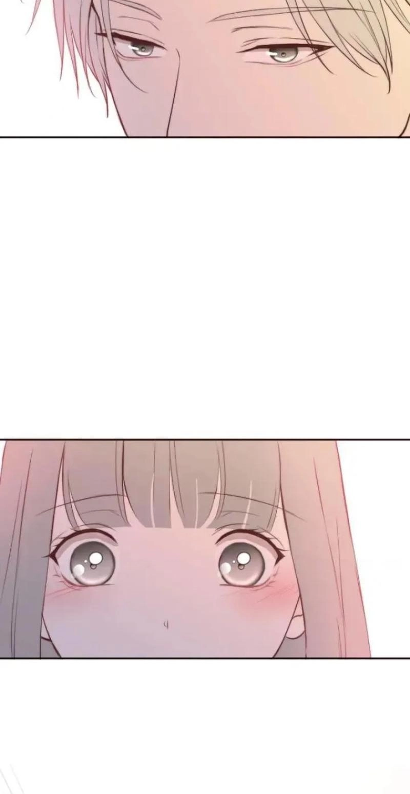 26f65f8fd073