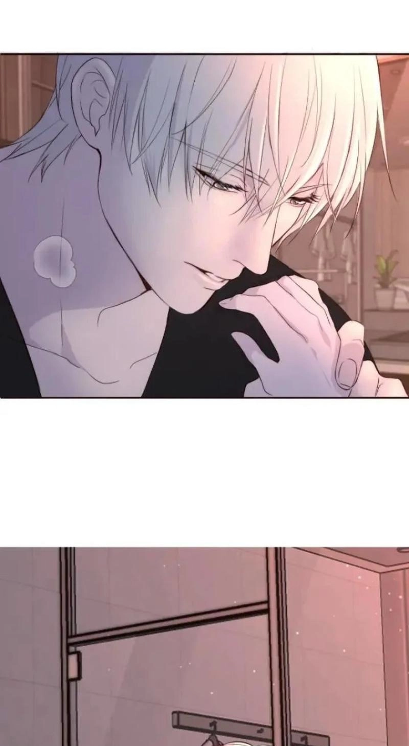 f15fa8e5278c