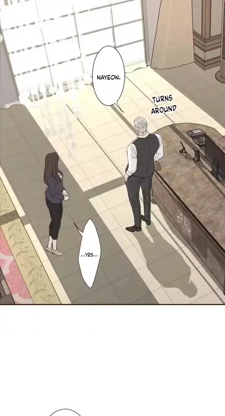 527ad2dd2543
