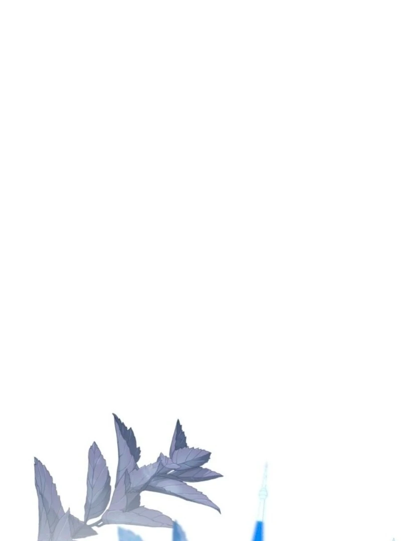 81