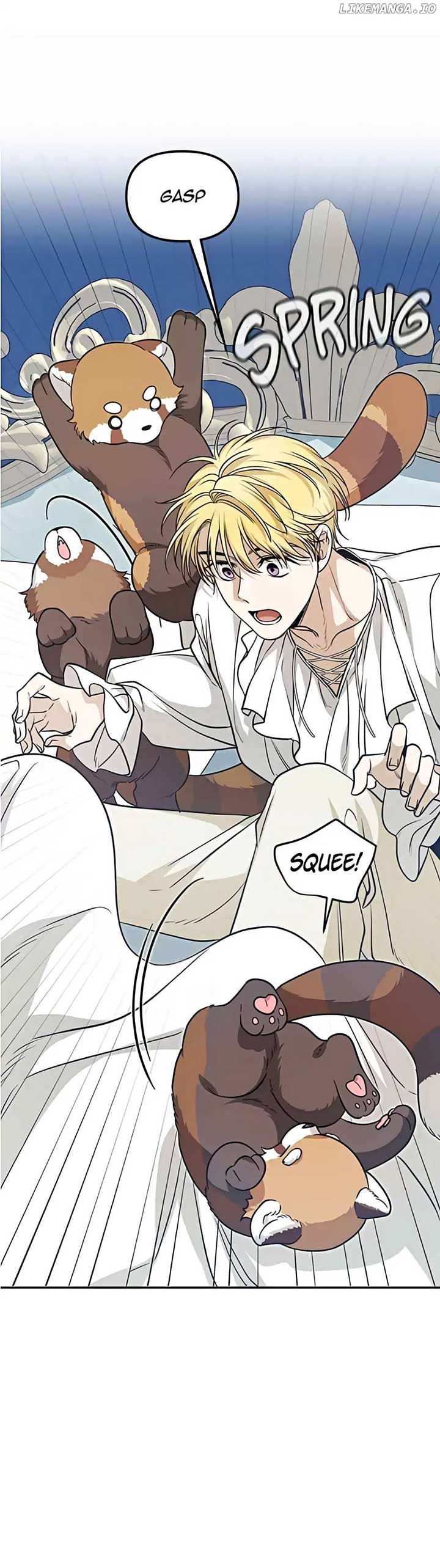 ch 67 66
