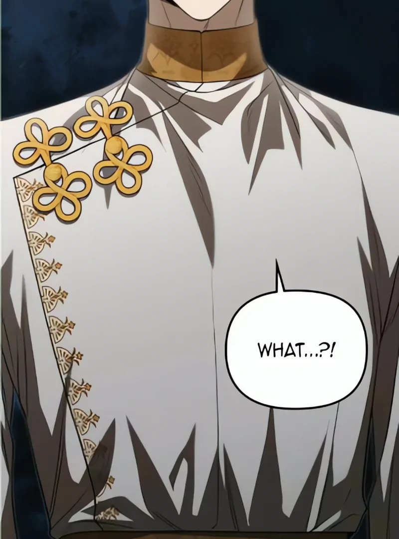 What Happens When the Second Male Lead Goes on Strike Chapter 68 646 ch 68 3