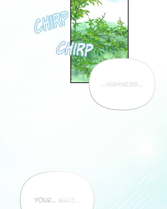 ch 80 11