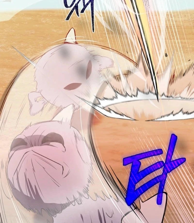 ch 6 84