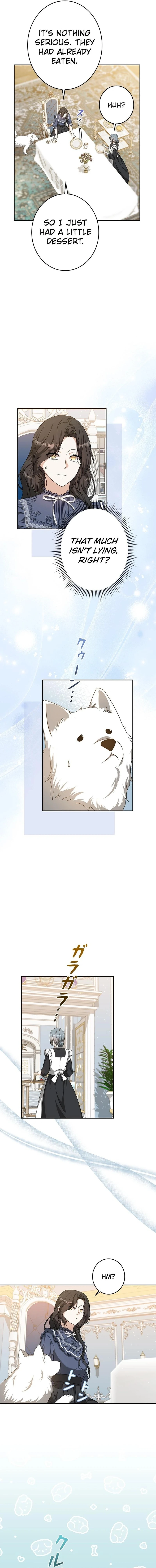 ch 26 2