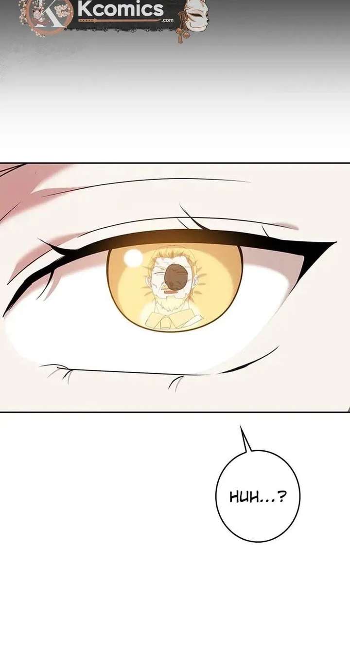 ch 36 31