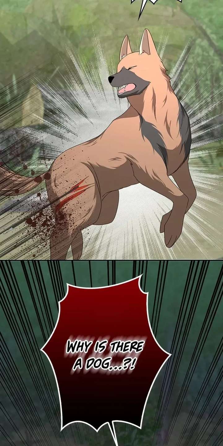 ch 45 2