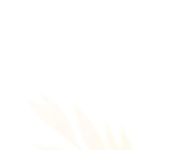 If You Want a Cheeky Sorceress Chapter 18 641 145