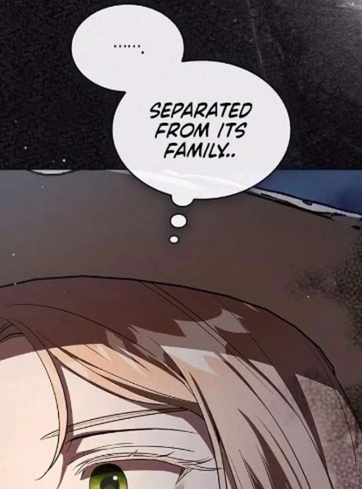 If You Want a Cheeky Sorceress Chapter 24 681 122