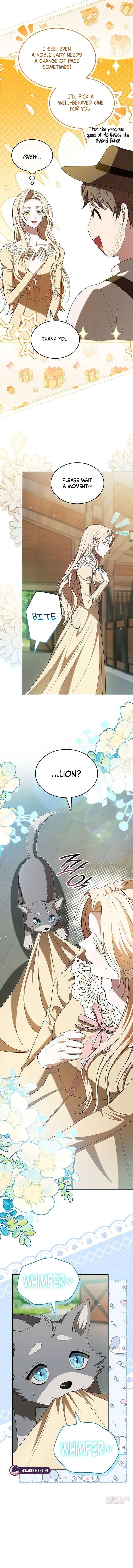 ch 35 19
