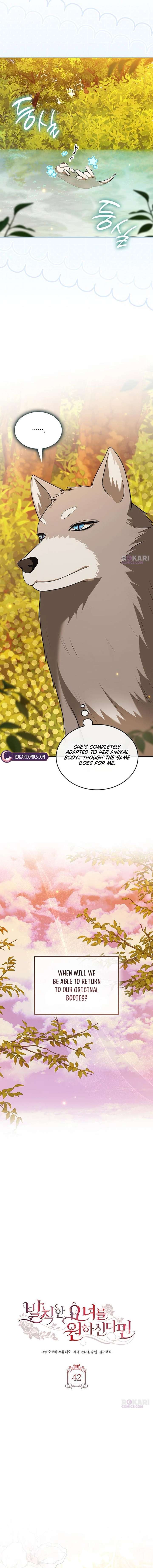 If You Want a Cheeky Sorceress Chapter 42 81 ch 42 6